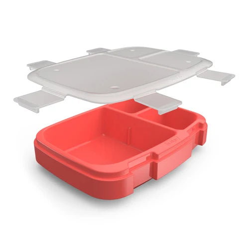 Bentgo Fresh Tray with Transparent Cover