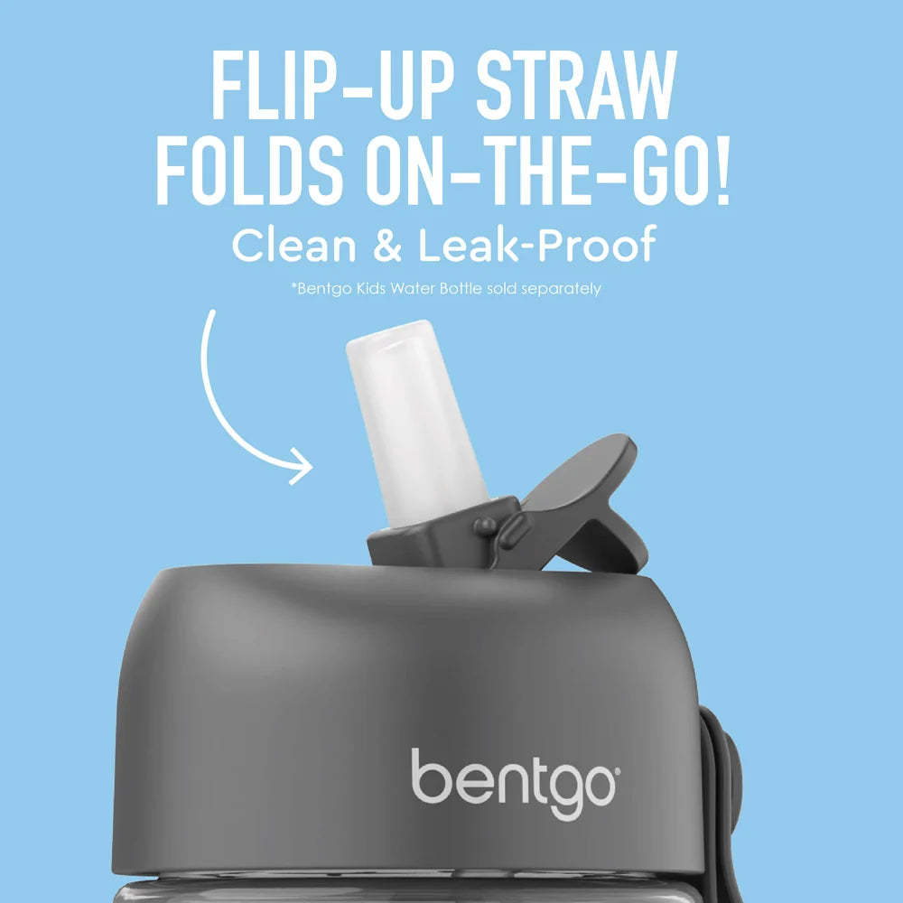 Bentgo Kids Water Bottle Replacement Straws (2-Pack)